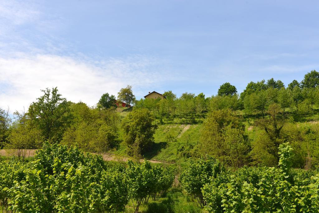 Casa Vacanze Il Brichet Mondovì Pokoj fotografie